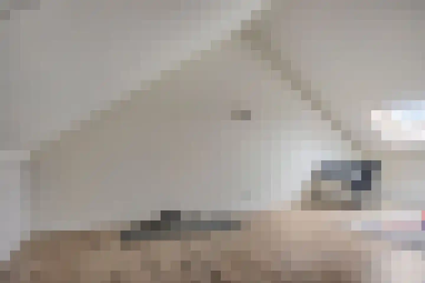 Van der Goes van Naterspad 3 Zwolle thumbnail 35