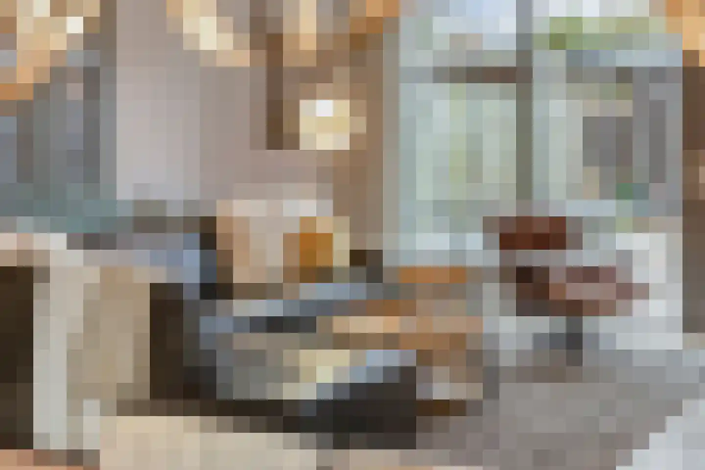 Van der Goes van Naterspad 3 Zwolle thumbnail 6