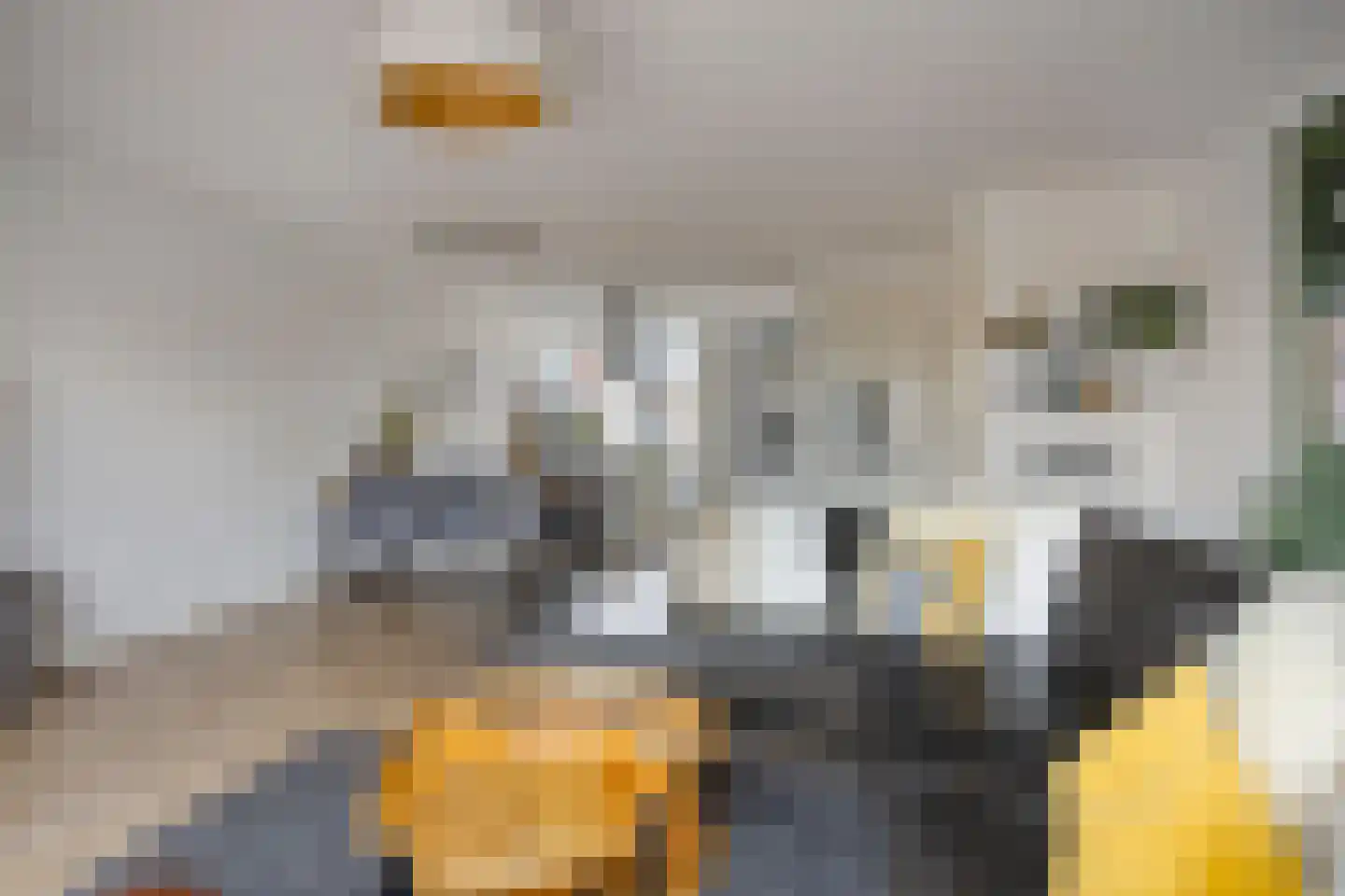Van der Goes van Naterspad 3 Zwolle thumbnail 9
