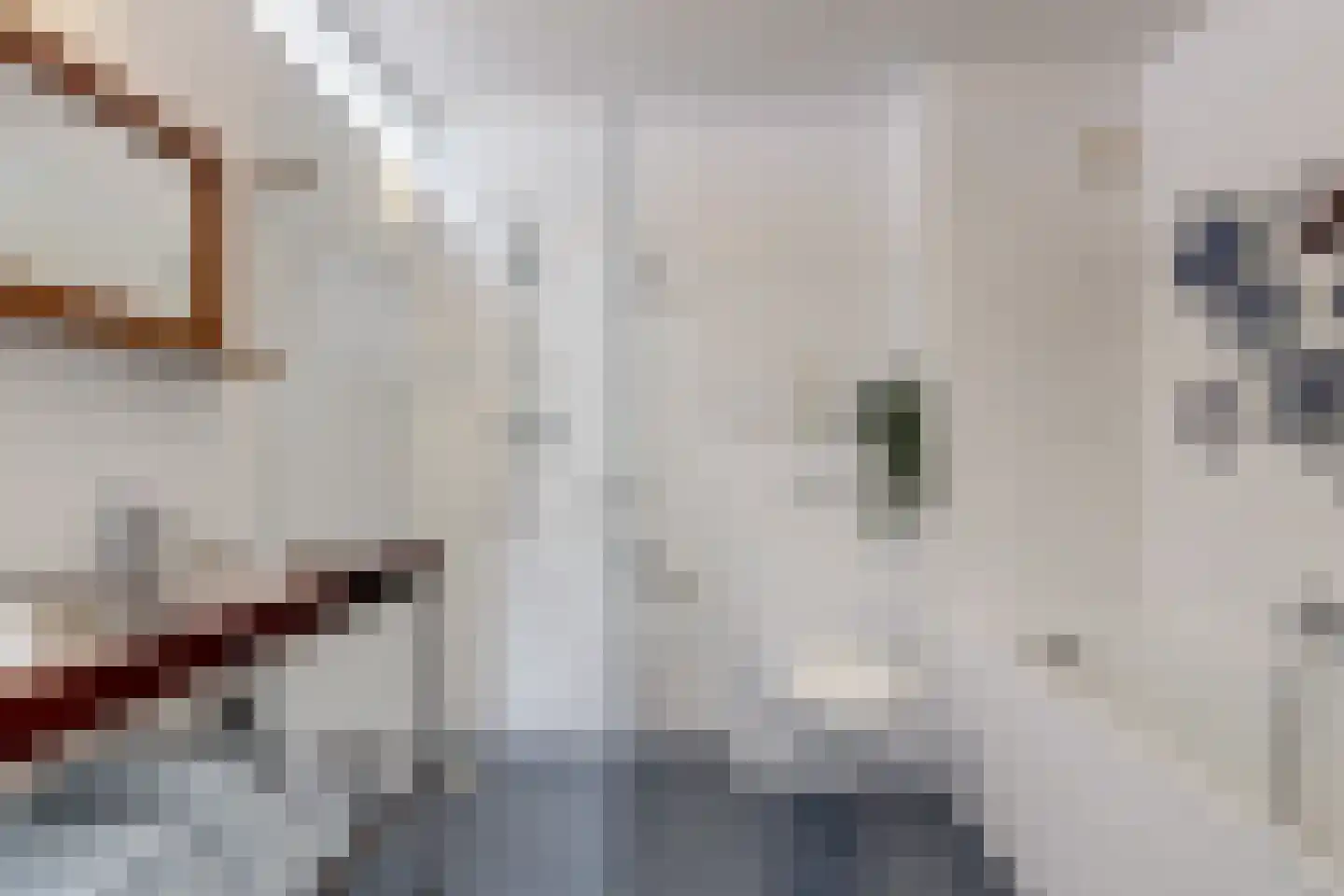 Van der Goeslaan 23 Den Haag thumbnail 18