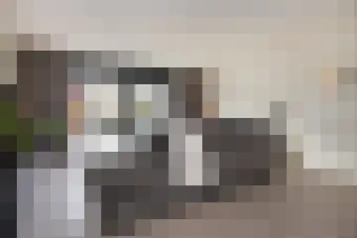 Van der Goeslaan 7 Den Haag thumbnail 17