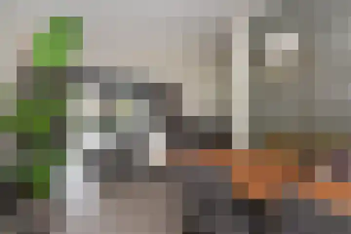 Van der Goeslaan 7 Den Haag thumbnail 23