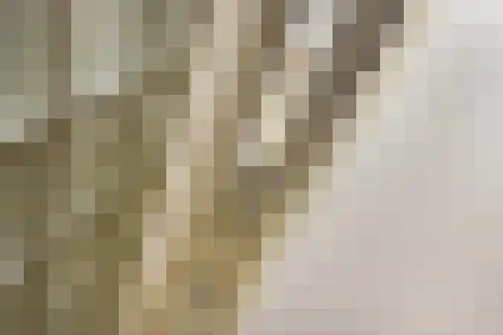 Van der Goeslaan 7 Den Haag thumbnail 25