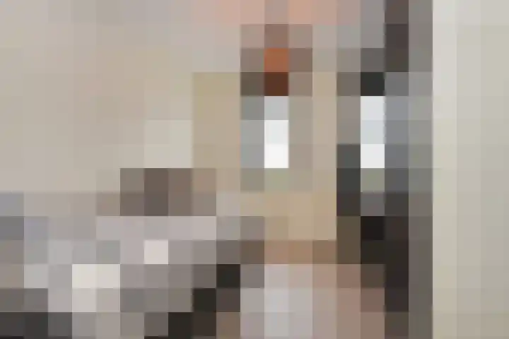 Van der Goeslaan 7 Den Haag thumbnail 34