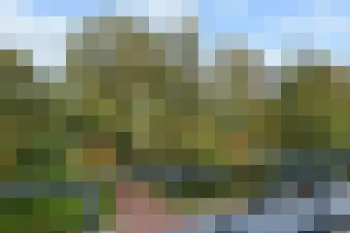 Van der Goeslaan 7 Den Haag thumbnail 41