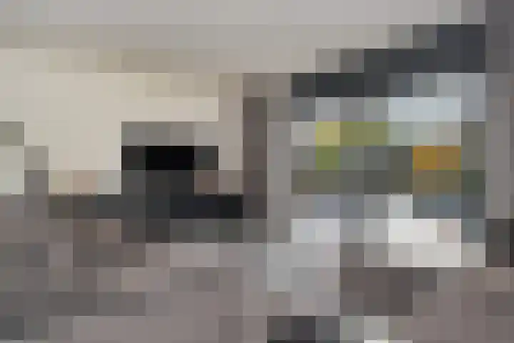Van der Goeslaan 7 Den Haag thumbnail 7