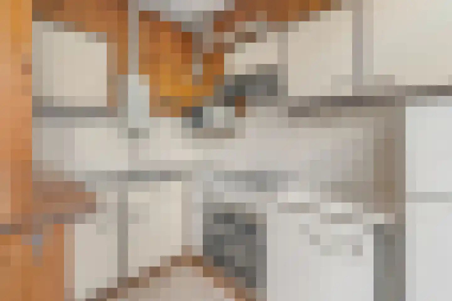Van der Goesstraat 10 Utrecht thumbnail 11