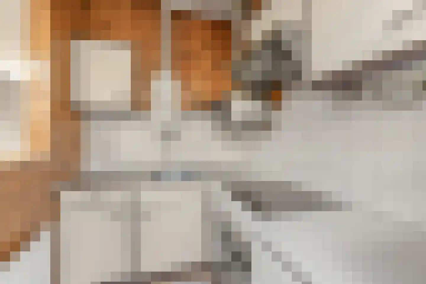 Van der Goesstraat 10 Utrecht thumbnail 12