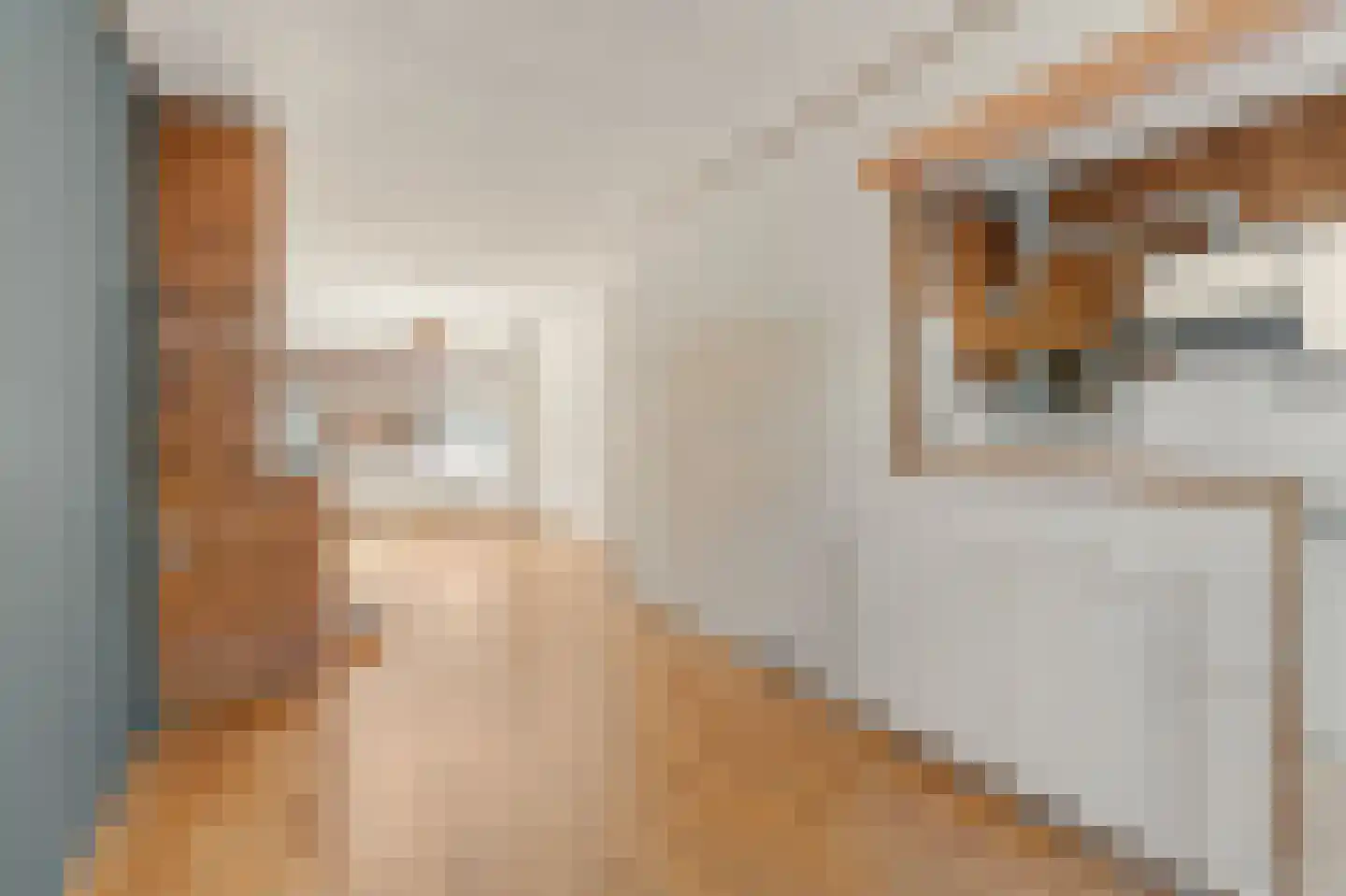 Van der Goesstraat 10 Utrecht thumbnail 14