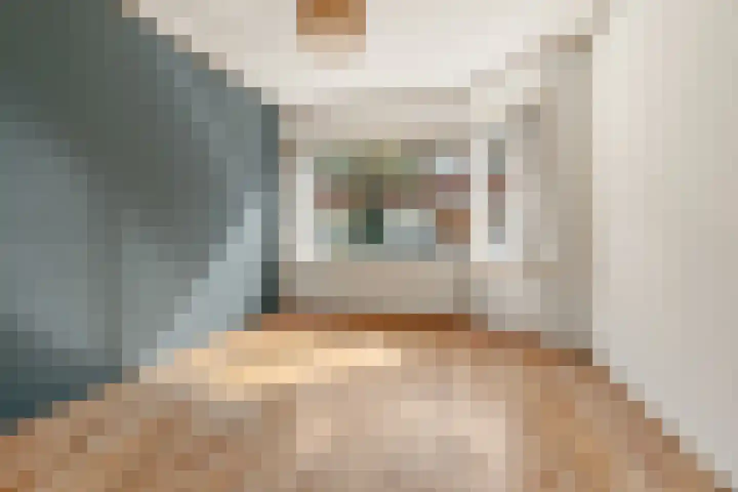 Van der Goesstraat 10 Utrecht thumbnail 5