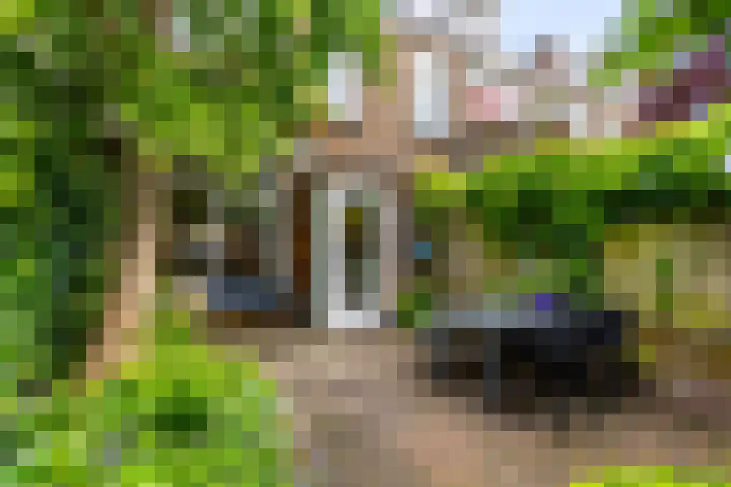 Van der Goesstraat 11 Utrecht thumbnail 23