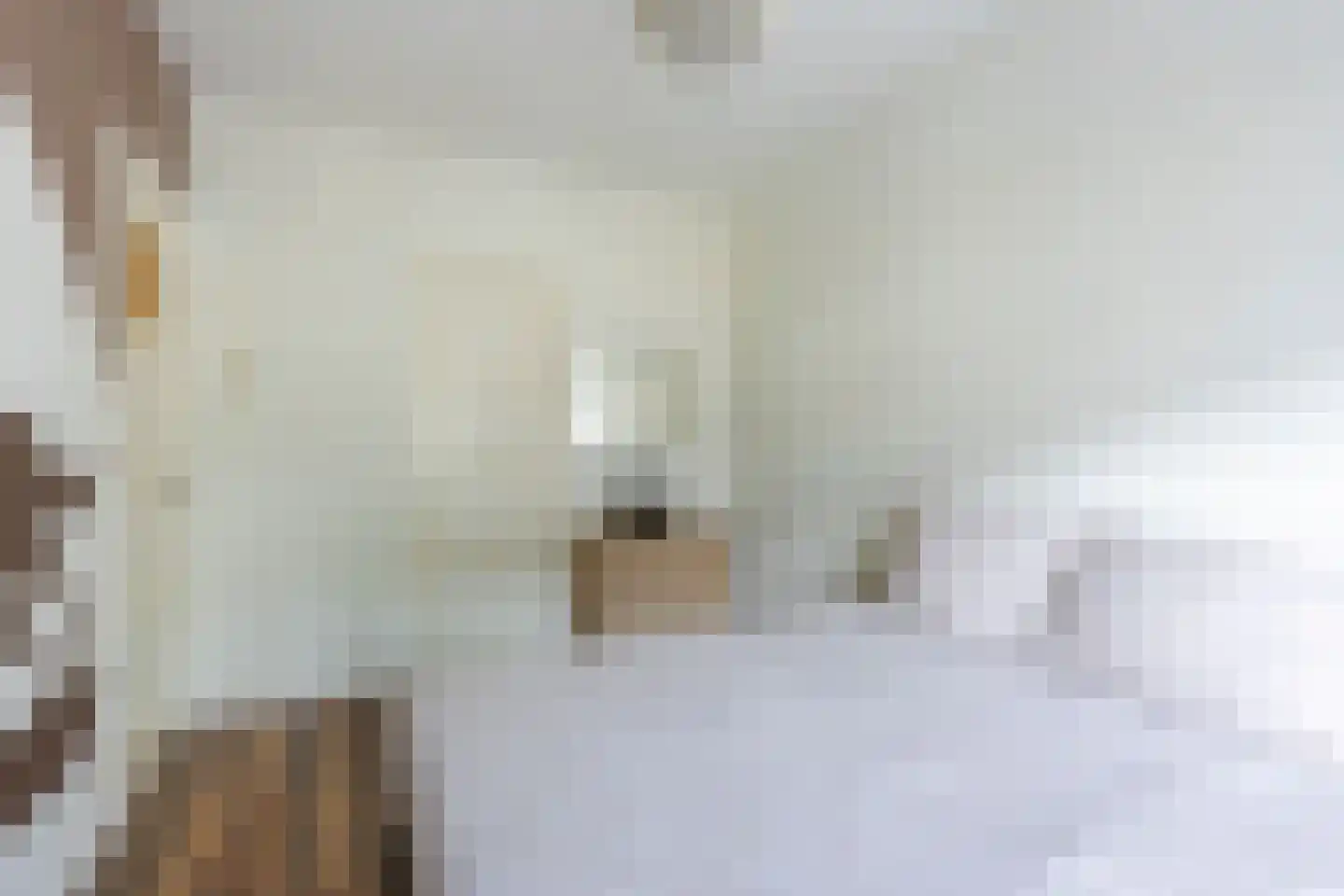 Van der Goesstraat 11 Utrecht thumbnail 31