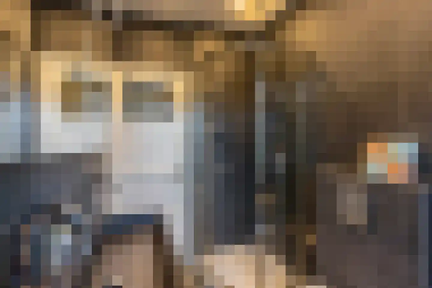 Van der Goesstraat 11 Utrecht thumbnail 40