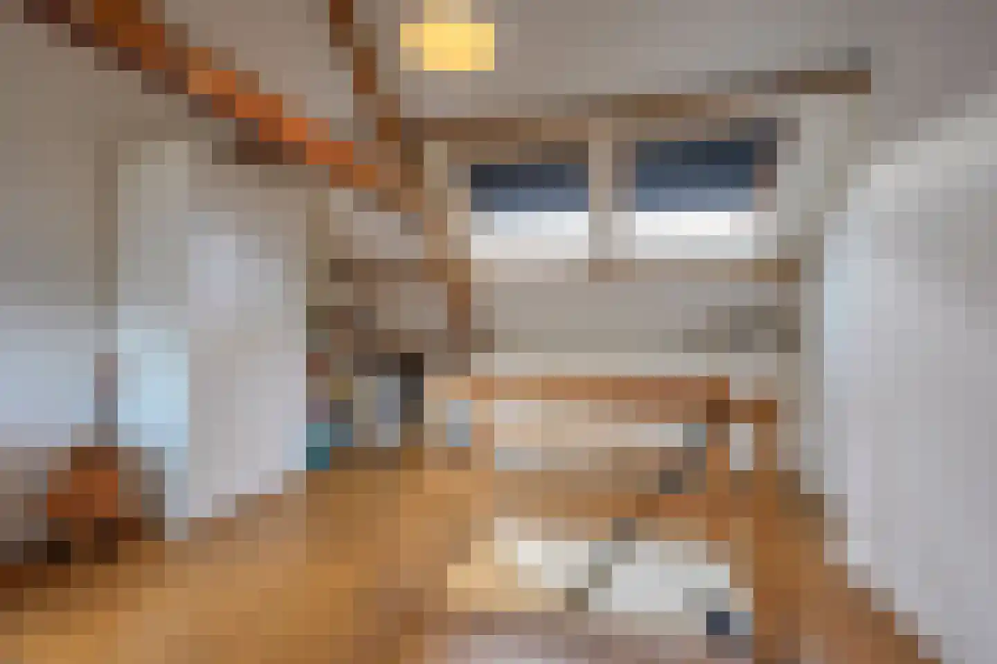 Van der Goesstraat 11 Utrecht thumbnail 42