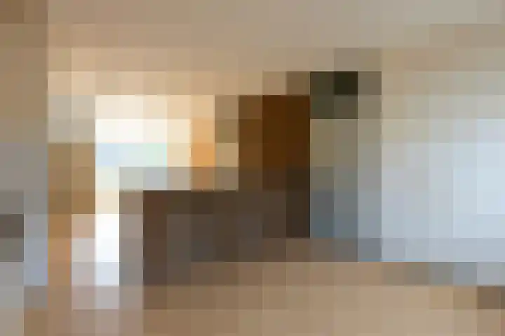 Van der Goesstraat 12 Ede thumbnail 7