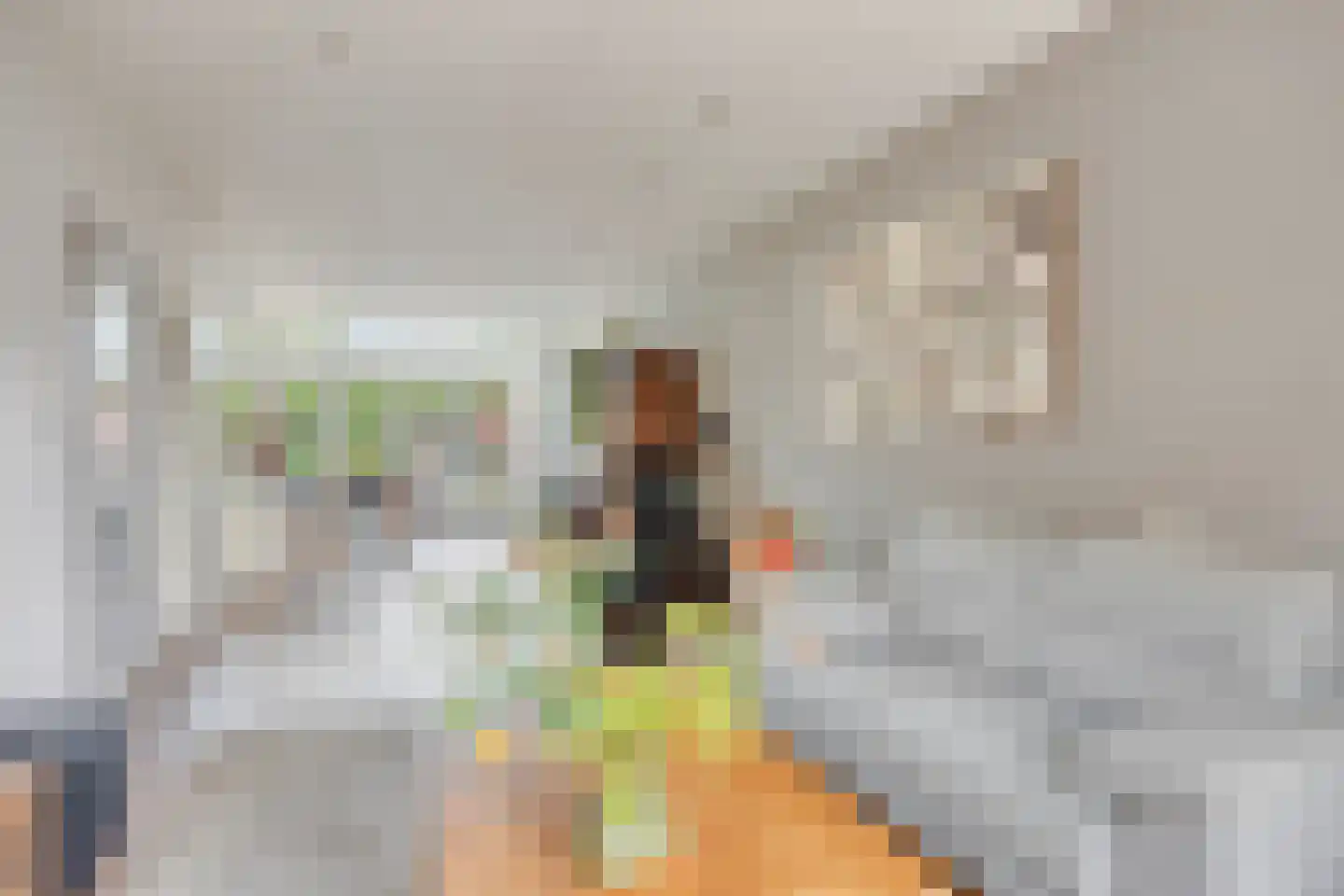 Van der Goesstraat 16 Honselersdijk thumbnail 13