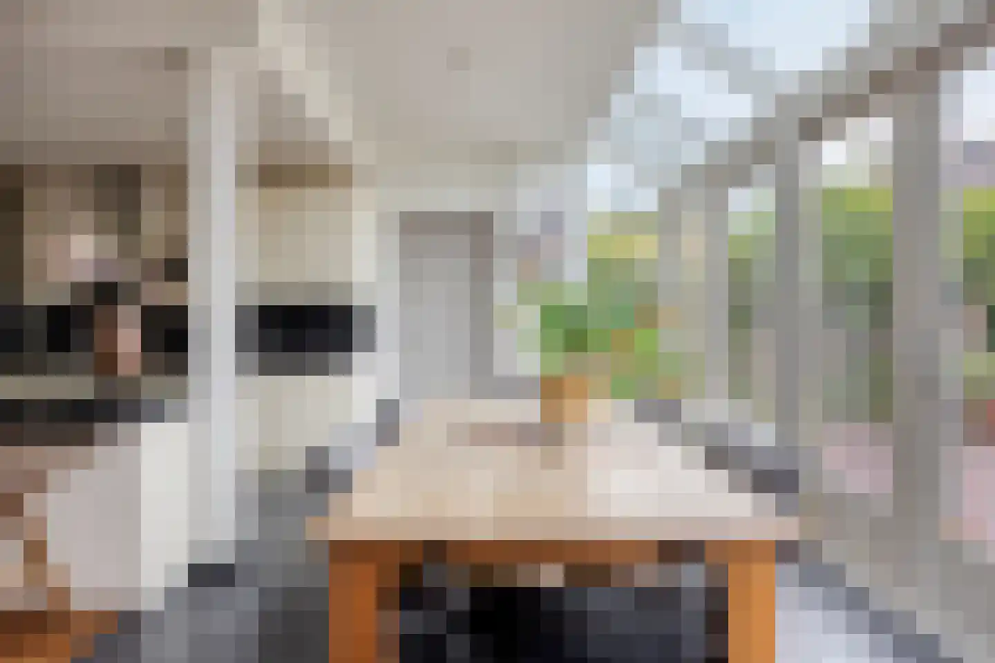 Van der Goesstraat 16 Honselersdijk thumbnail 17