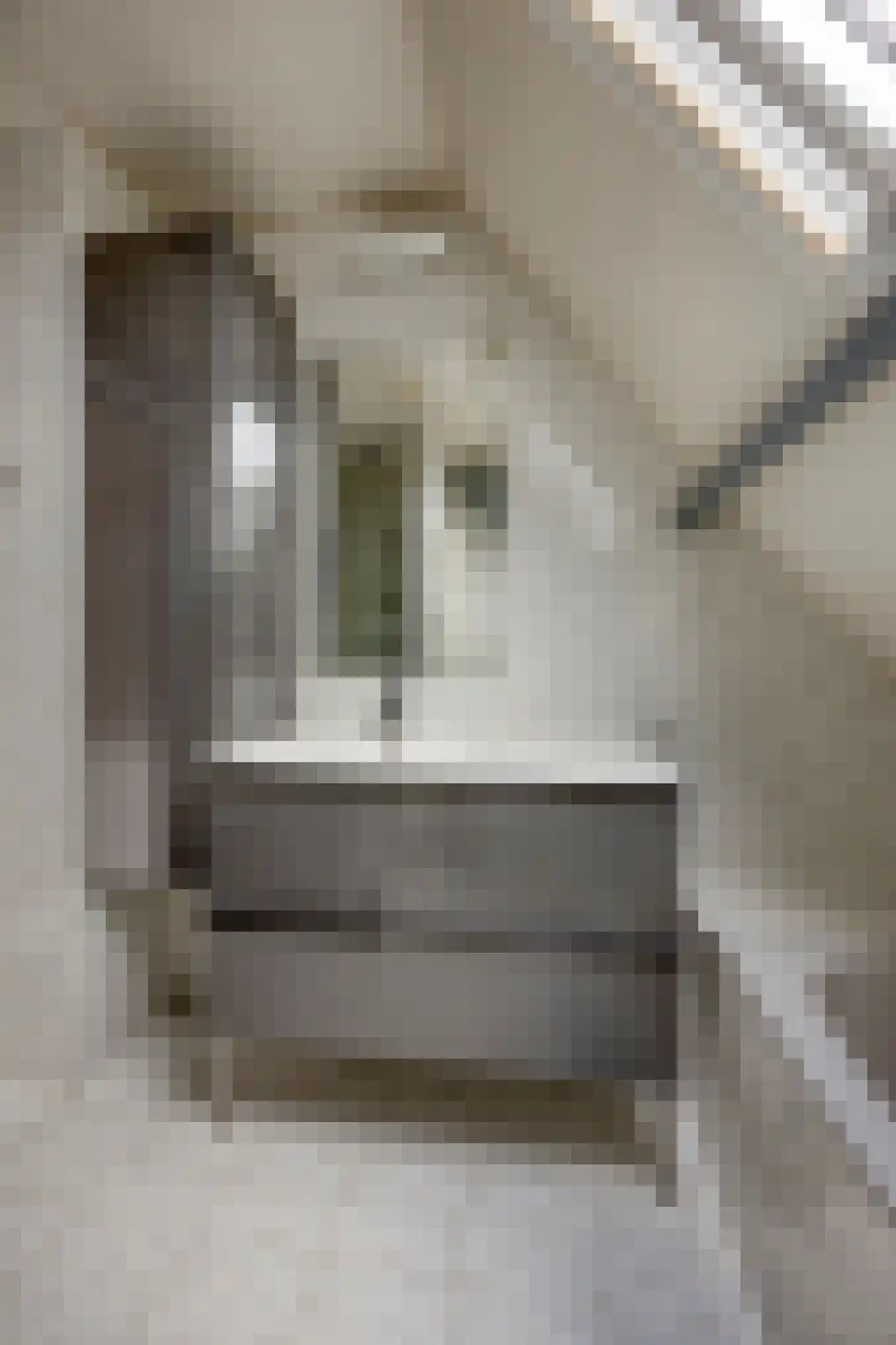 Van der Goesstraat 16 Honselersdijk thumbnail 23