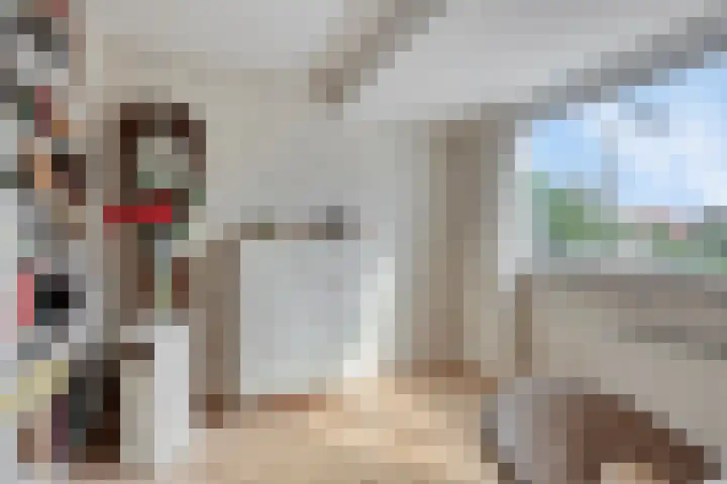 Van der Goesstraat 16 Honselersdijk thumbnail 27