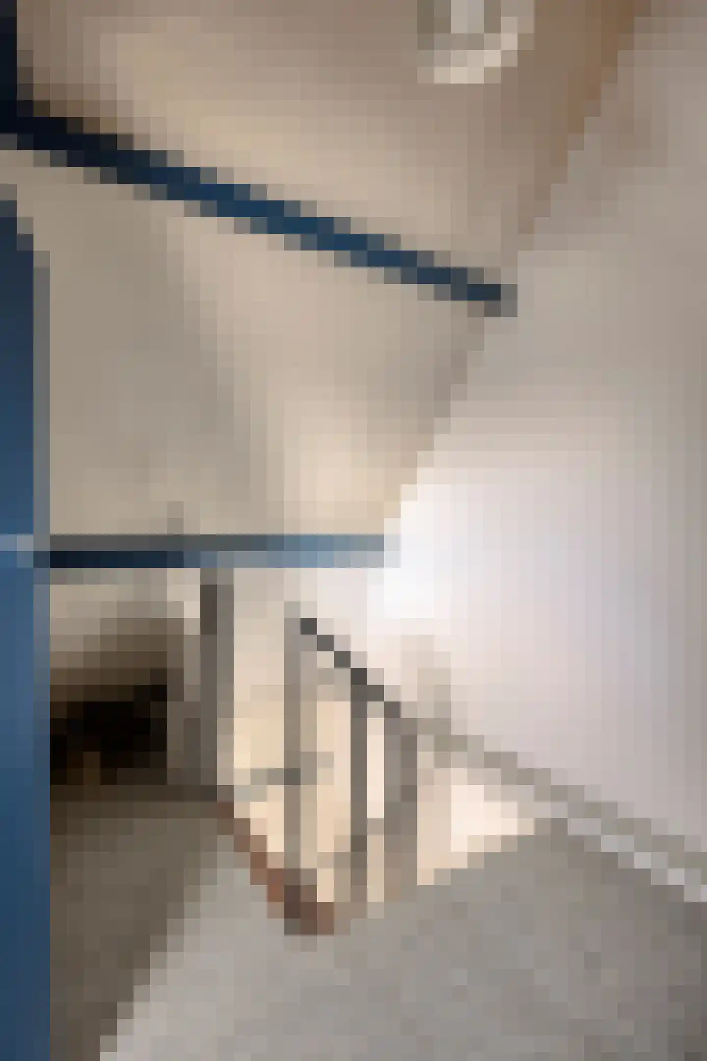 Van der Goesstraat 16 Honselersdijk thumbnail 30