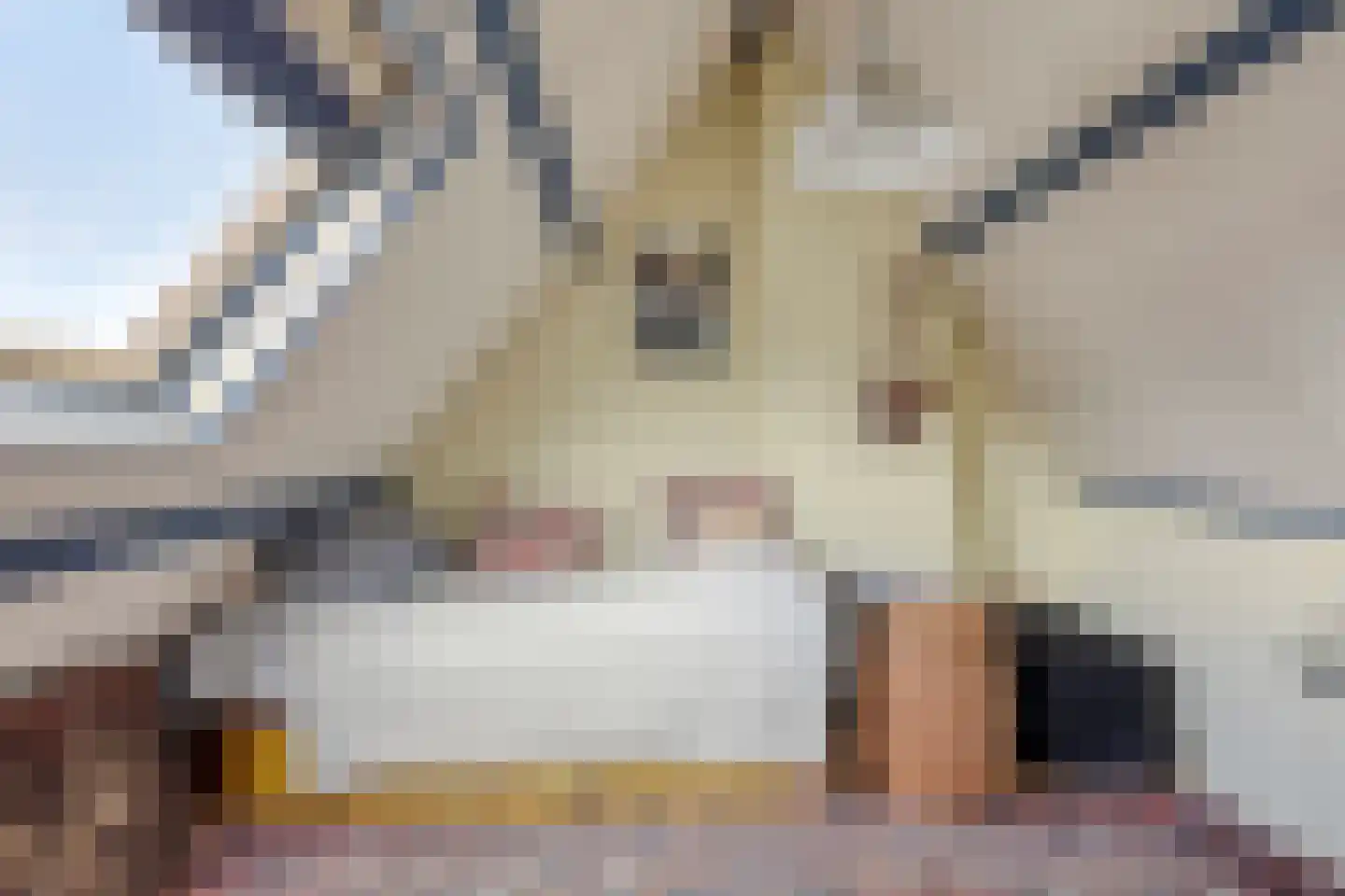 Van der Goesstraat 16 Honselersdijk thumbnail 31