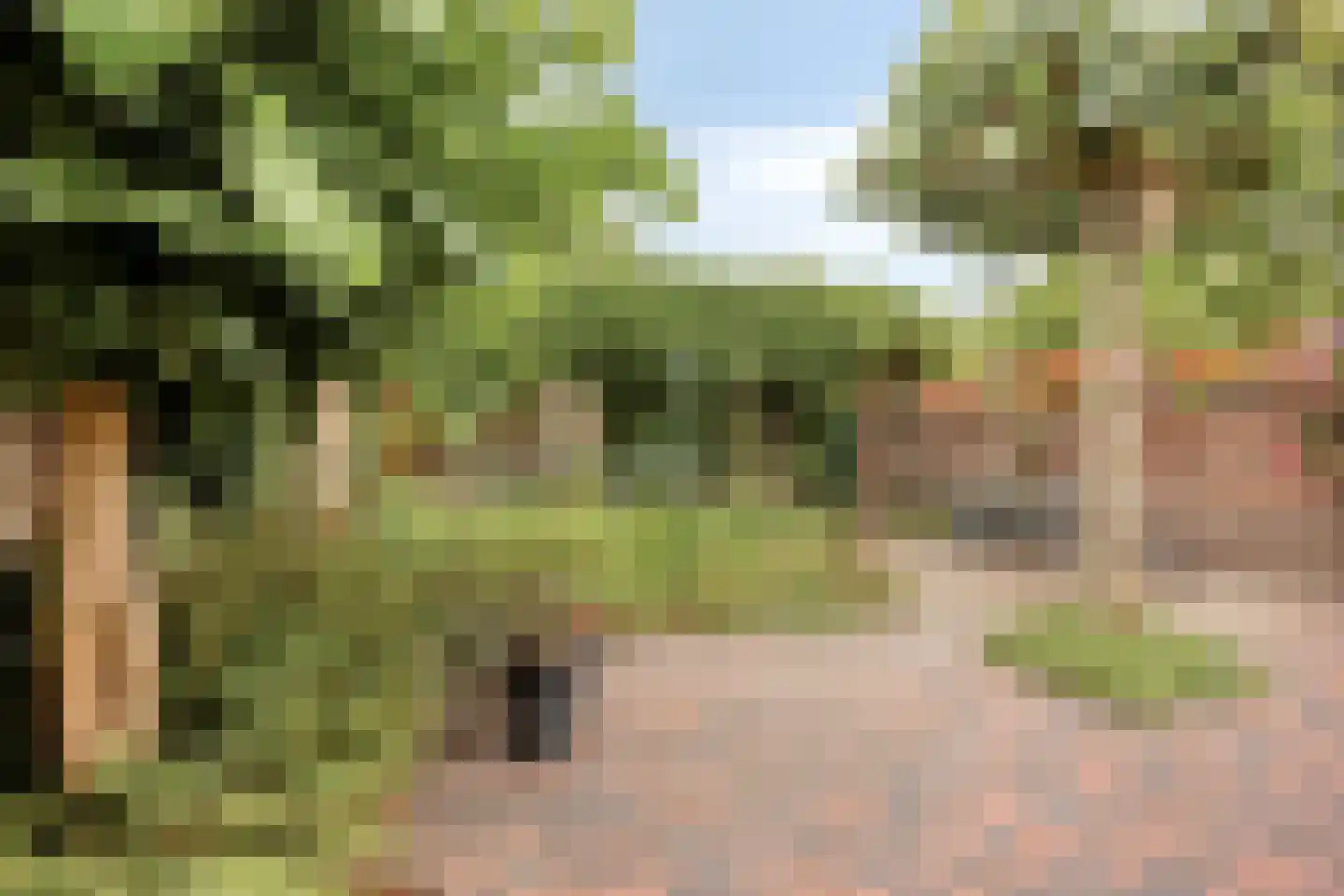 Van der Goesstraat 16 Honselersdijk thumbnail 34