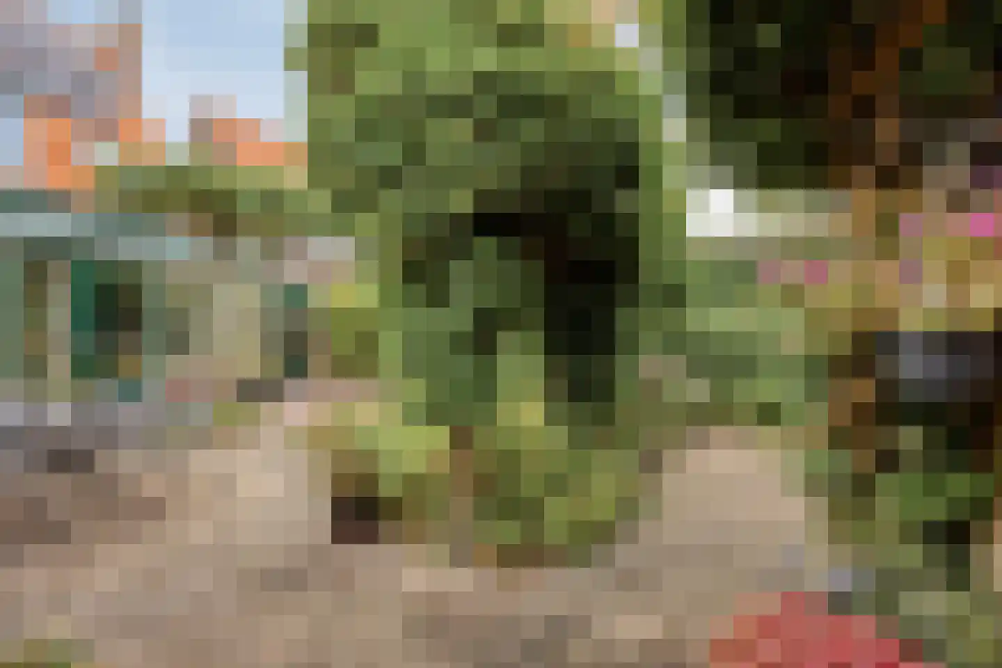 Van der Goesstraat 16 Honselersdijk thumbnail 36