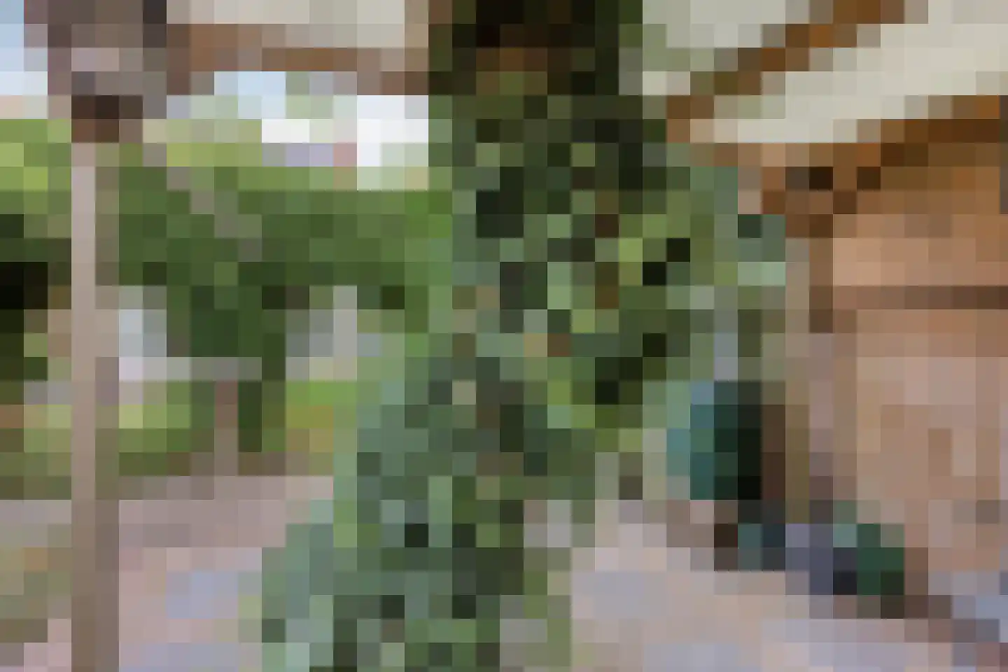 Van der Goesstraat 16 Honselersdijk thumbnail 38