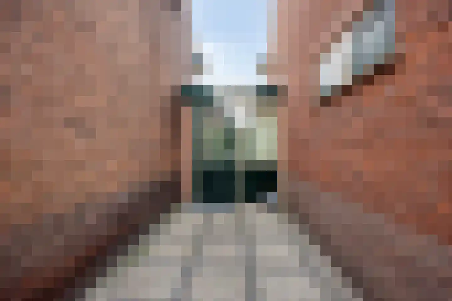 Van der Goesstraat 16 Honselersdijk thumbnail 40
