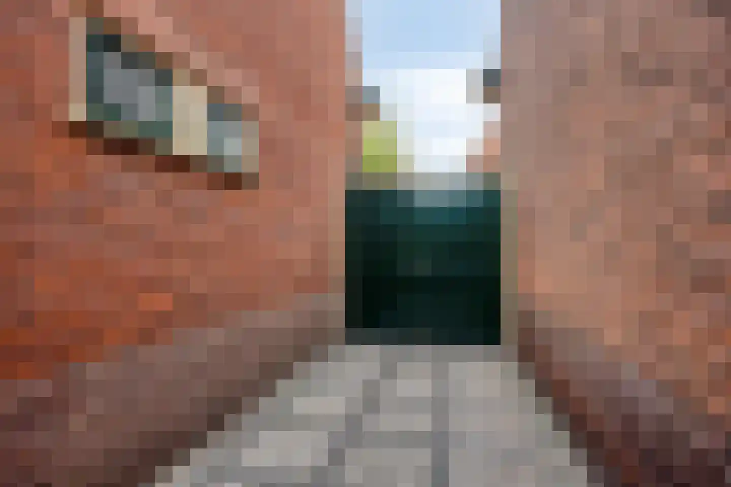 Van der Goesstraat 16 Honselersdijk thumbnail 41