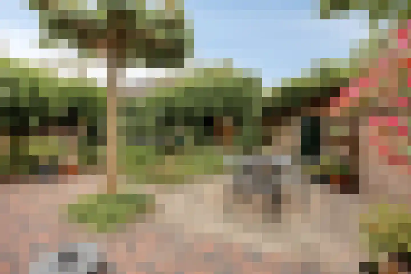 Van der Goesstraat 16 Honselersdijk thumbnail 5