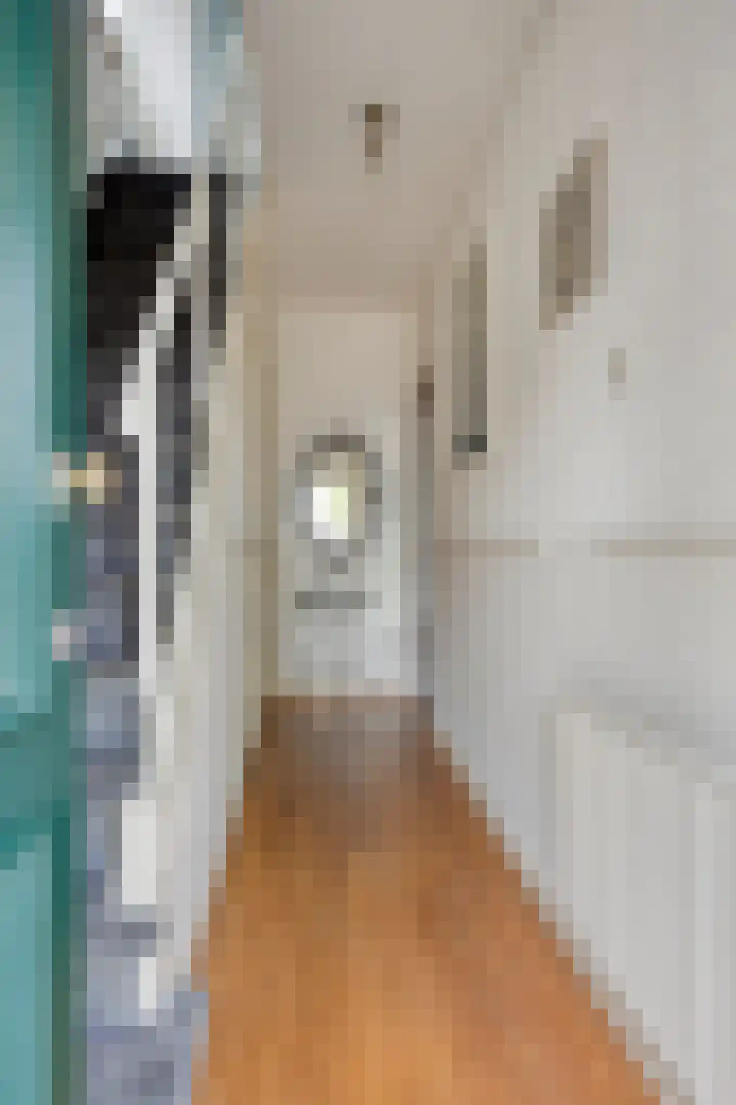 Van der Goesstraat 16 Honselersdijk thumbnail 9