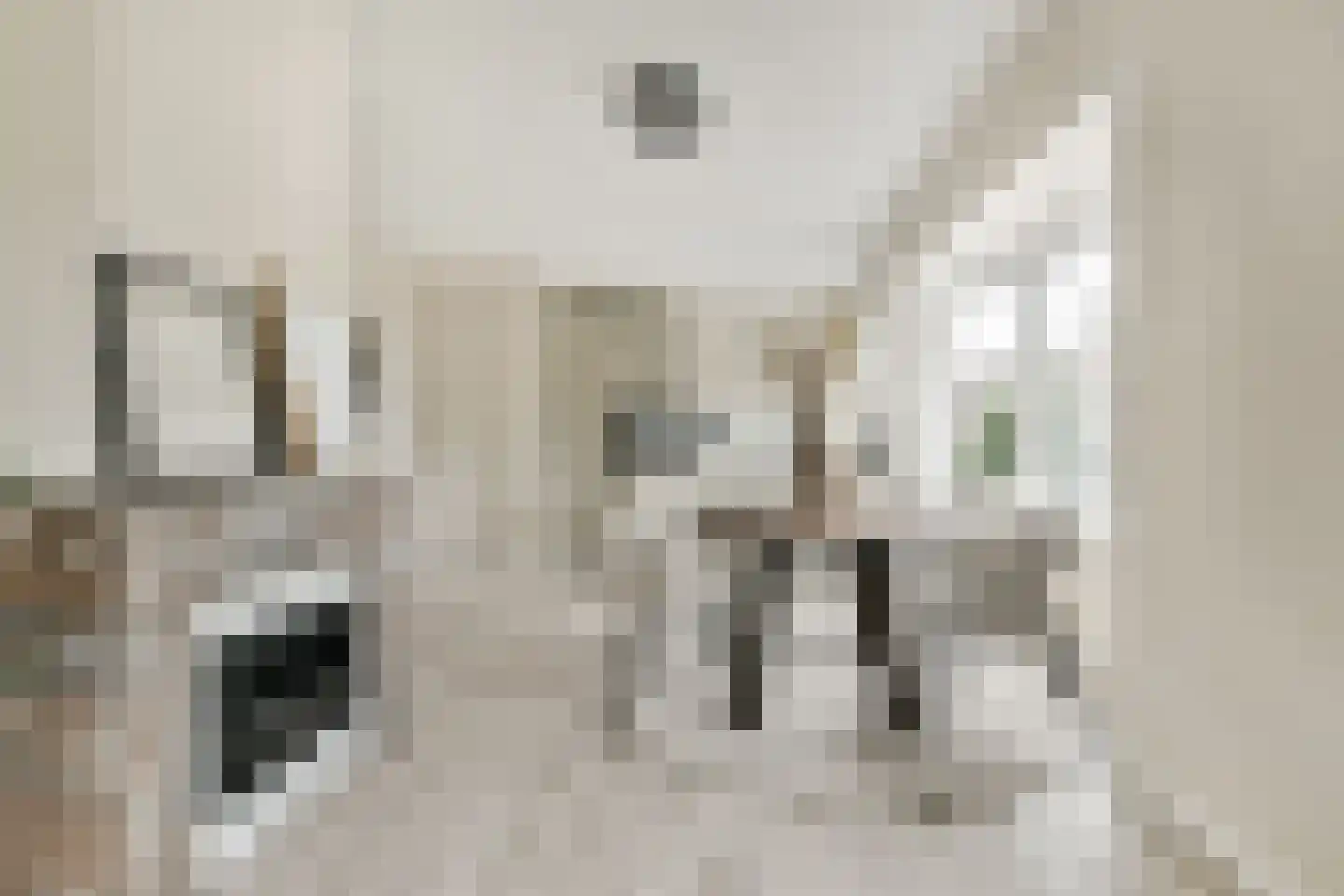 Van der Goesstraat 2 BS Utrecht thumbnail 11