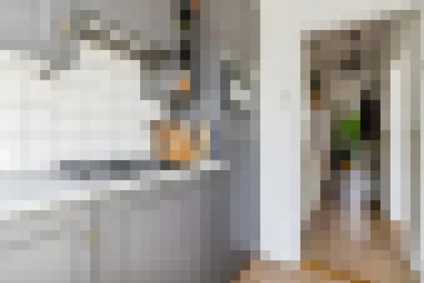 Van der Goesstraat 38 BS Utrecht thumbnail 13