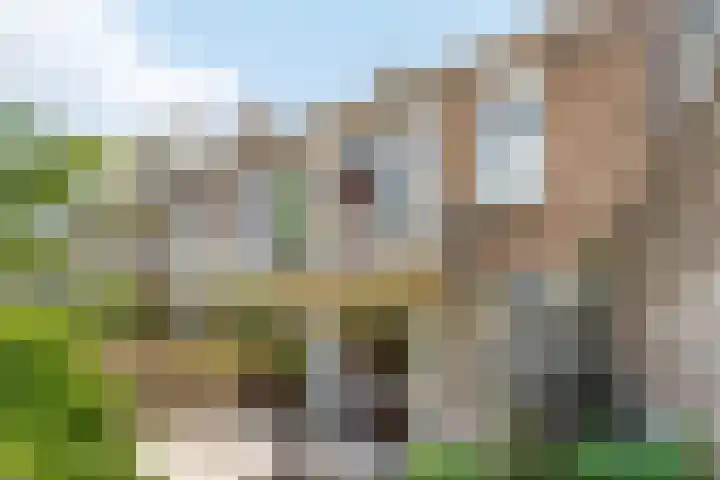 Van der Goesstraat 45 Utrecht thumbnail 35