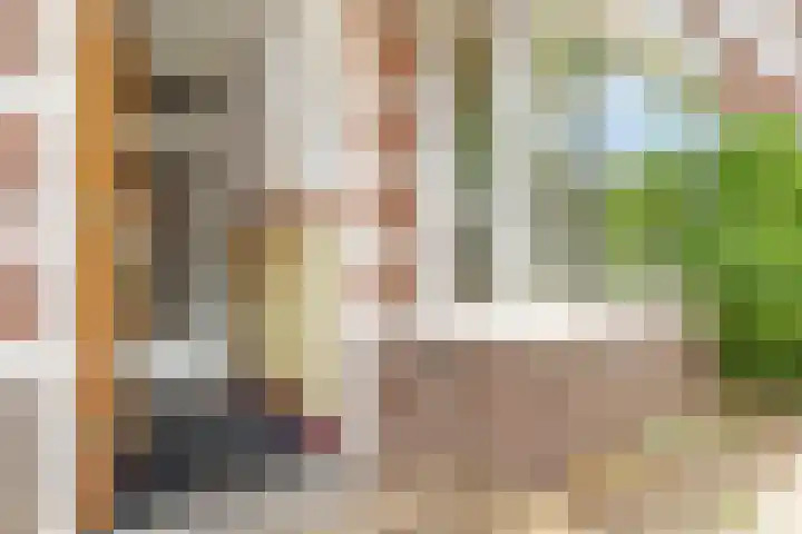 Van der Goesstraat 45 Utrecht thumbnail 6