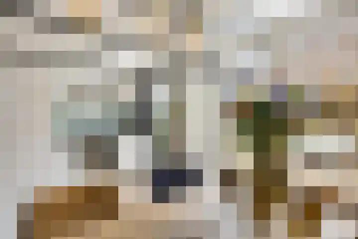 Van der Goesstraat 49 Utrecht thumbnail 12