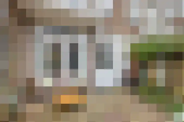 Van der Goesstraat 49 Utrecht thumbnail 18