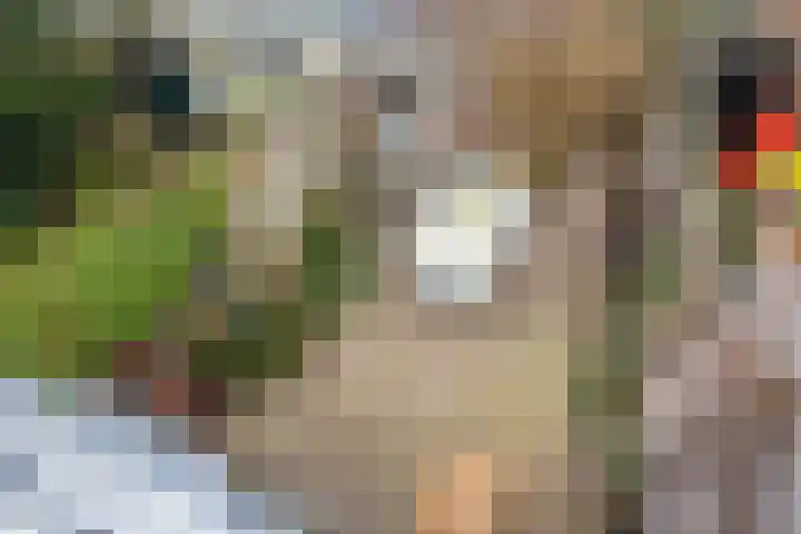 Van der Goesstraat 49 Utrecht thumbnail 30