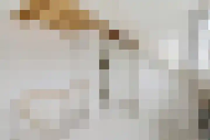 Van der Goesstraat 49 Utrecht thumbnail 39