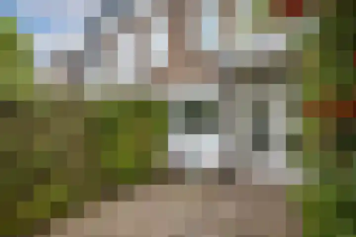 Van der Goesstraat 51 Utrecht thumbnail 15