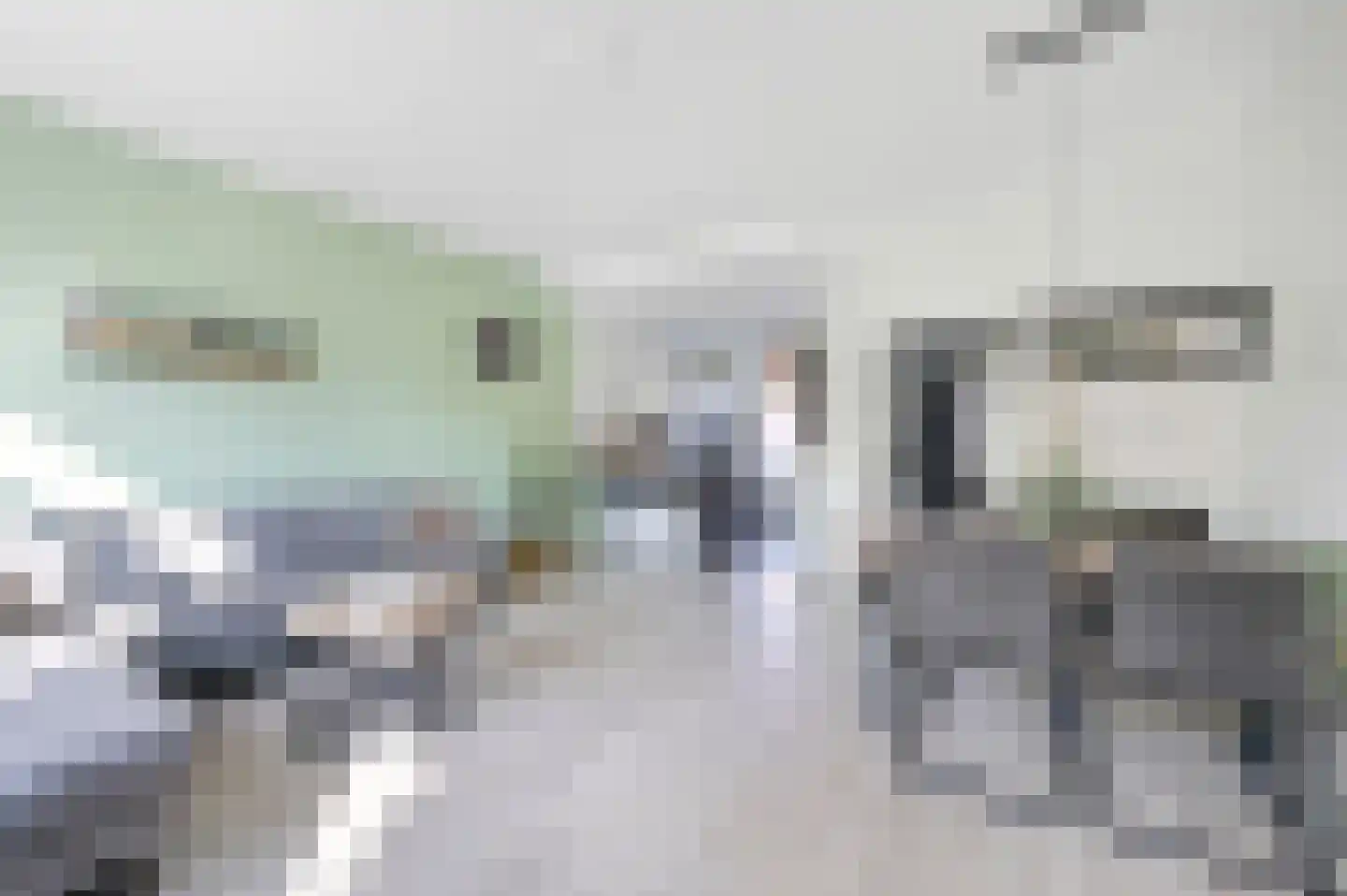 Van der Goesstraat 52 Honselersdijk thumbnail 17