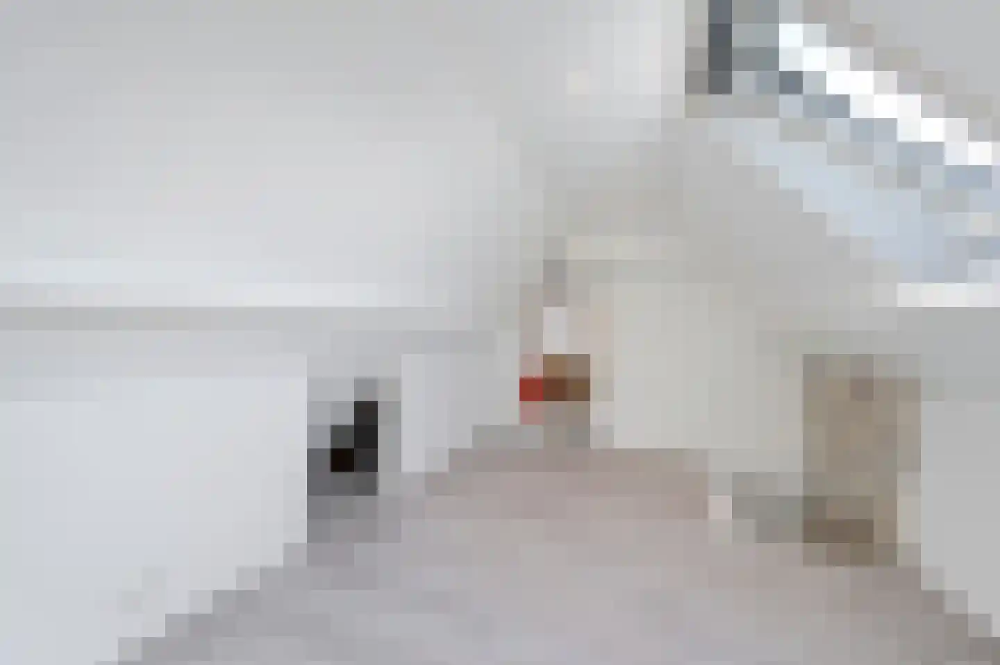 Van der Goesstraat 52 Honselersdijk thumbnail 33