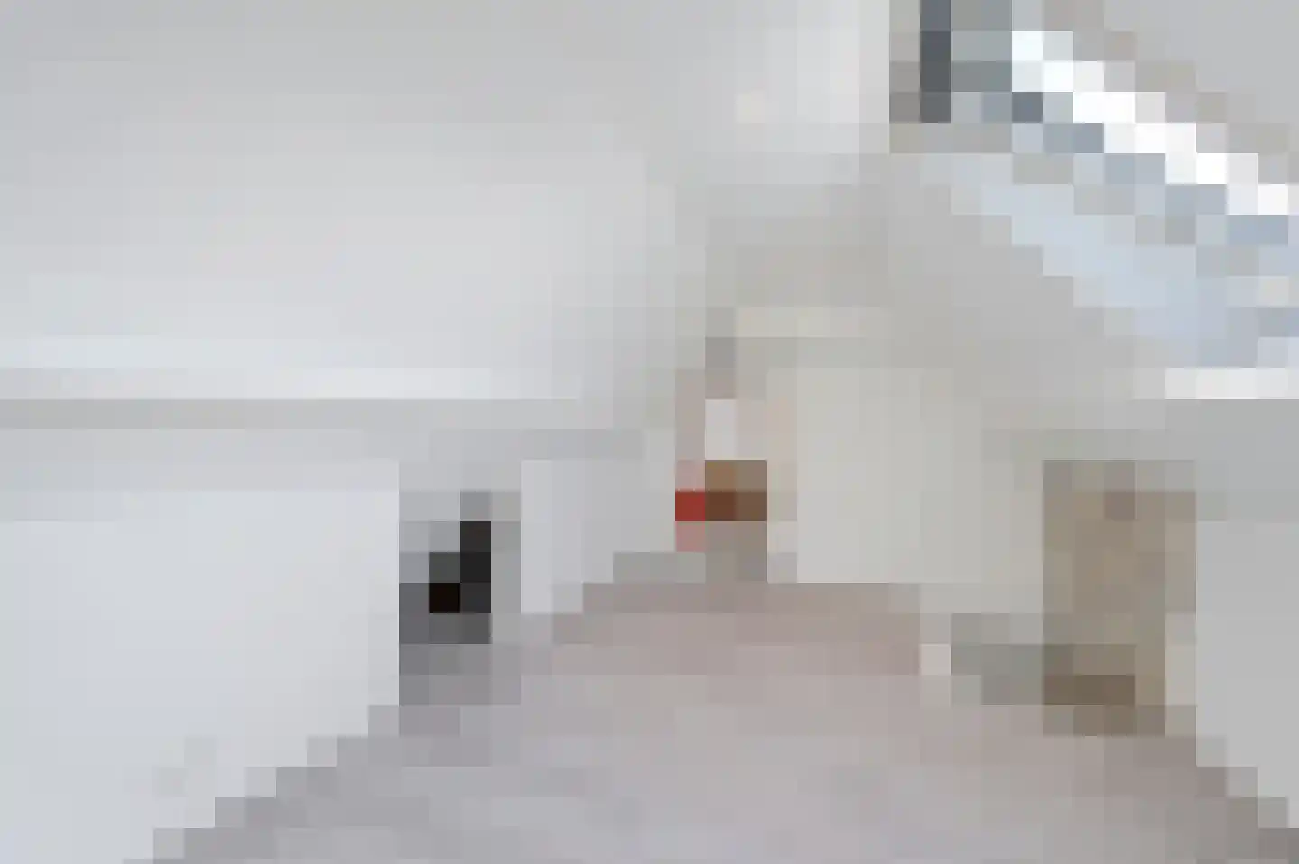 Van der Goesstraat 52 Honselersdijk thumbnail 33