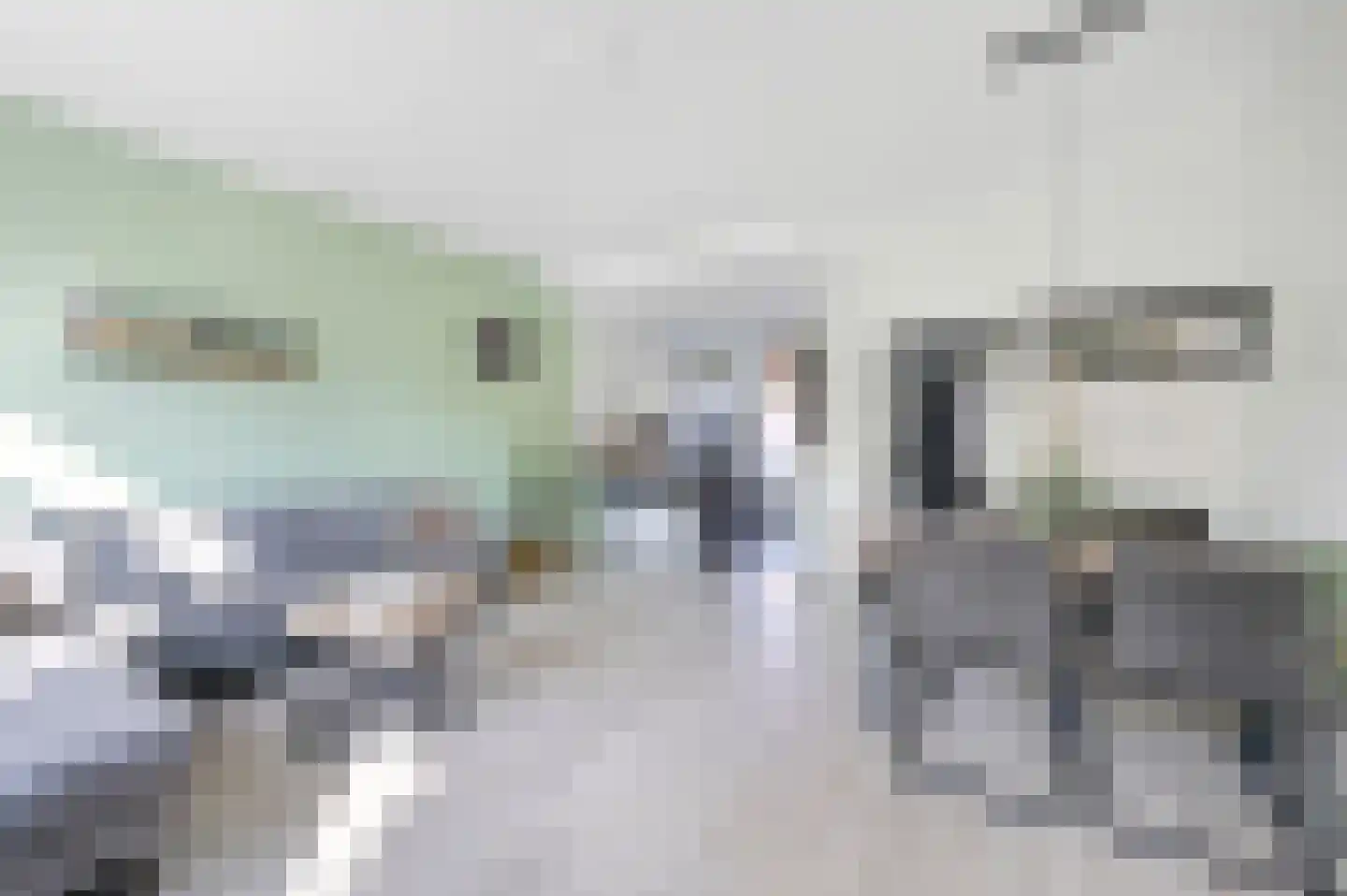Van der Goesstraat 52 Honselersdijk thumbnail 5