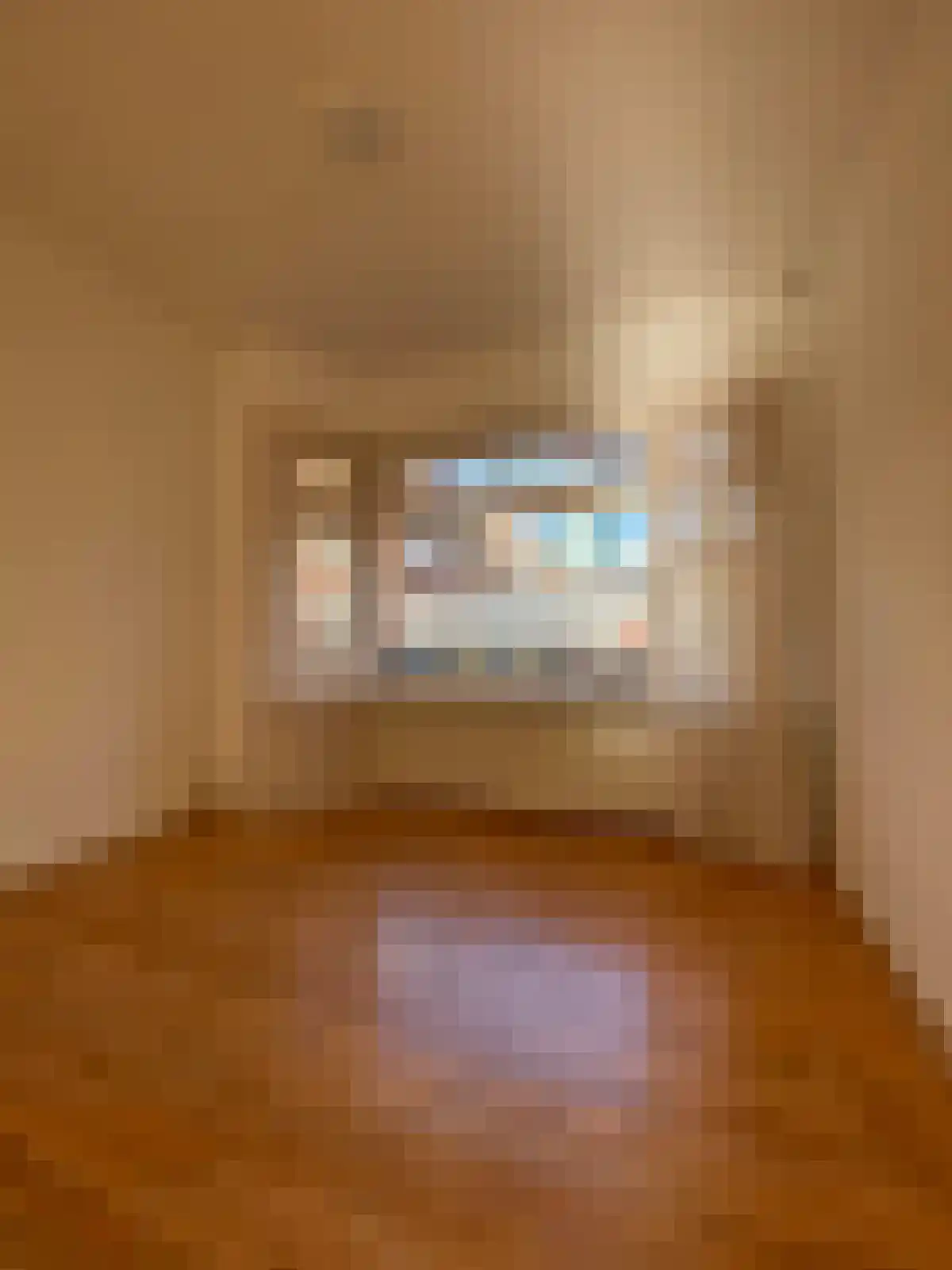 Van der Goesstraat 56 Utrecht thumbnail 5