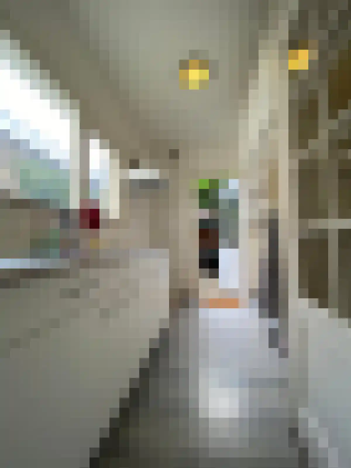 Van der Goesstraat 56 Utrecht thumbnail 6