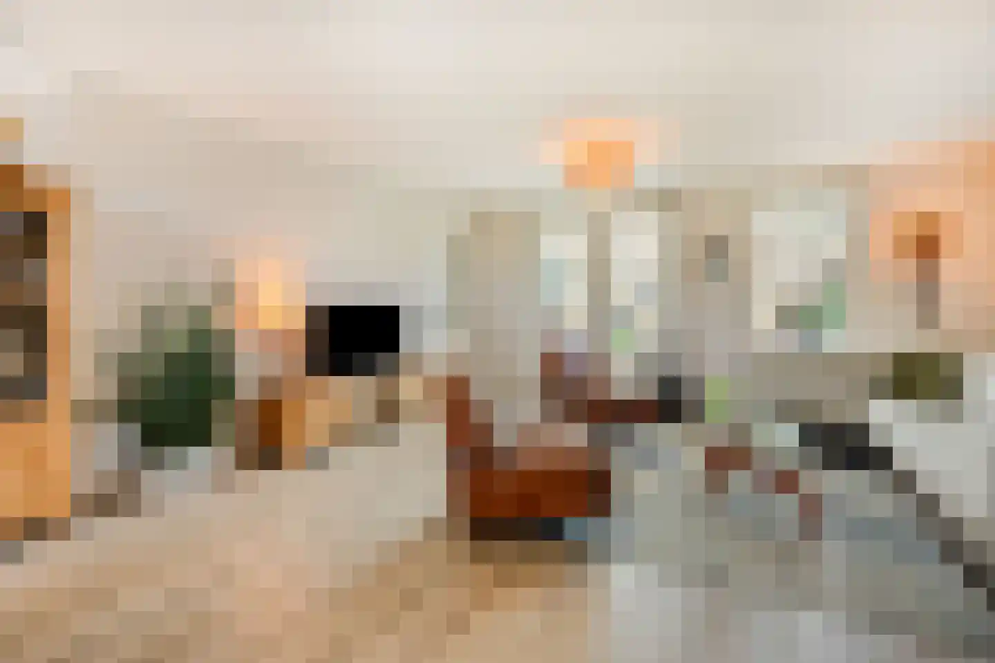 van der Goesstraat 89 Duiven thumbnail 11