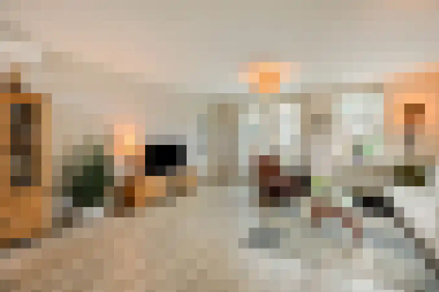 van der Goesstraat 89 Duiven thumbnail 13