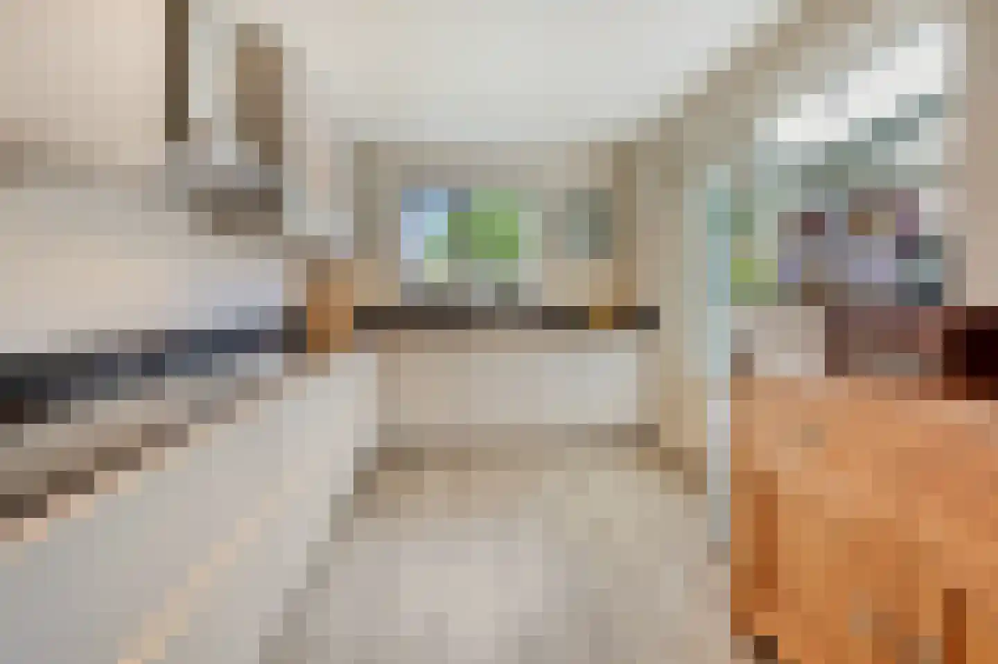 van der Goesstraat 89 Duiven thumbnail 22